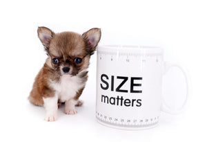 Miny is a micro teacup LC Sable Boy