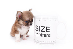 Miny is a micro teacup LC Sable Boy
