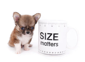 Miny is a micro teacup LC Sable Boy
