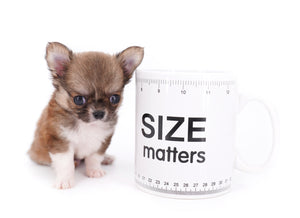 Miny is a micro teacup LC Sable Boy