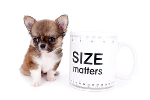 Miny is a micro teacup LC Sable Boy