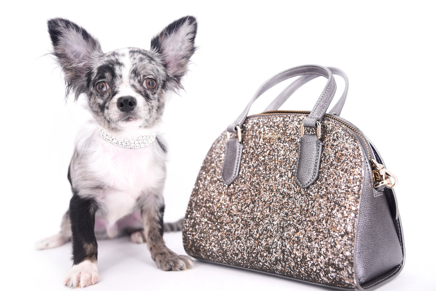 Marly Blue Merle LC Teacup Boy