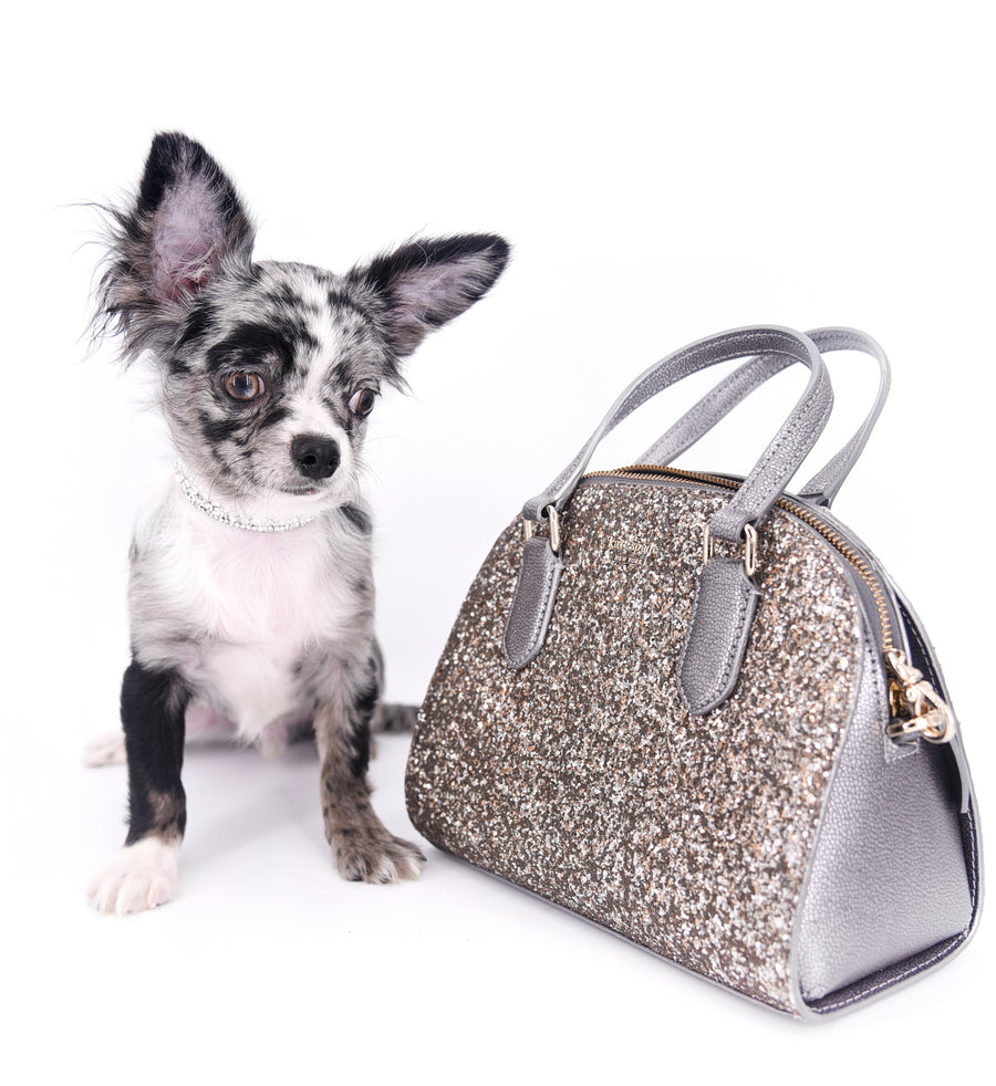Marly Blue Merle LC Teacup Boy