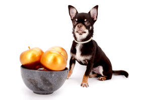 Aurora Micro SC Chocolate Green Eyes