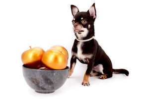 Aurora Micro SC Chocolate Green Eyes