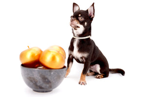 Aurora Micro SC Chocolate Green Eyes