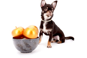 Aurora Micro SC Chocolate Green Eyes