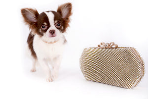 Romeo Tiny Micro Boy