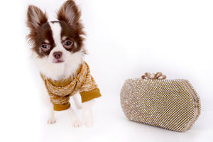 Romeo Tiny Micro Boy