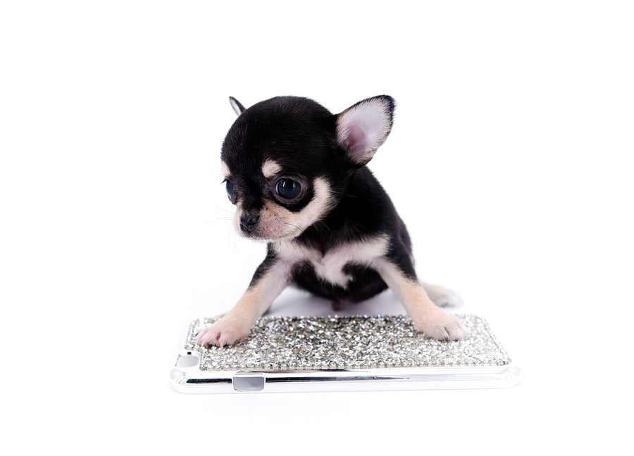 Micro Tricolor SC Boy