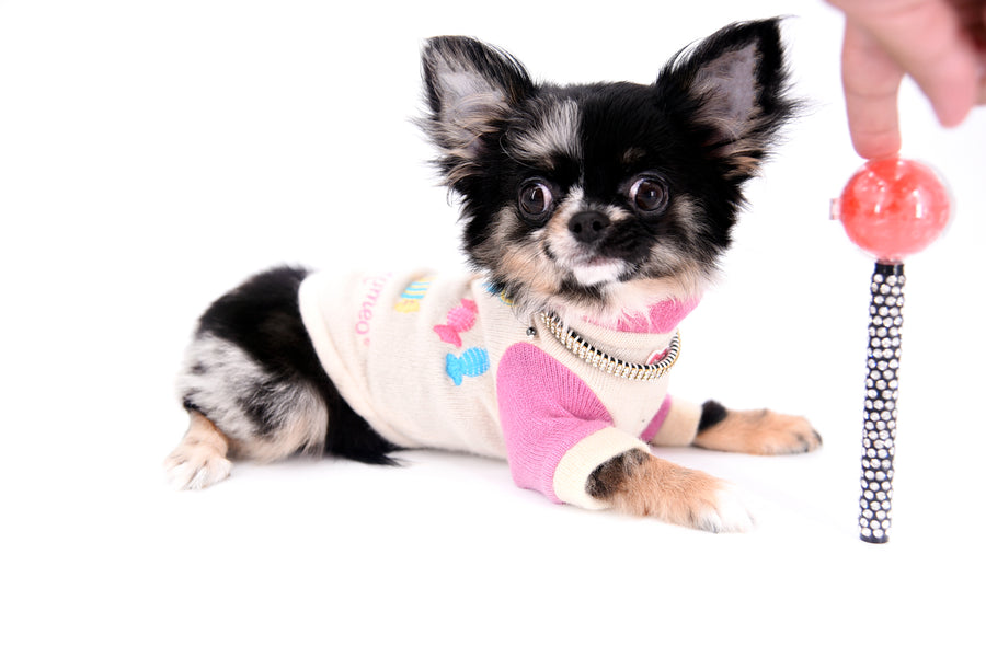 Diva Micro LC Girl
