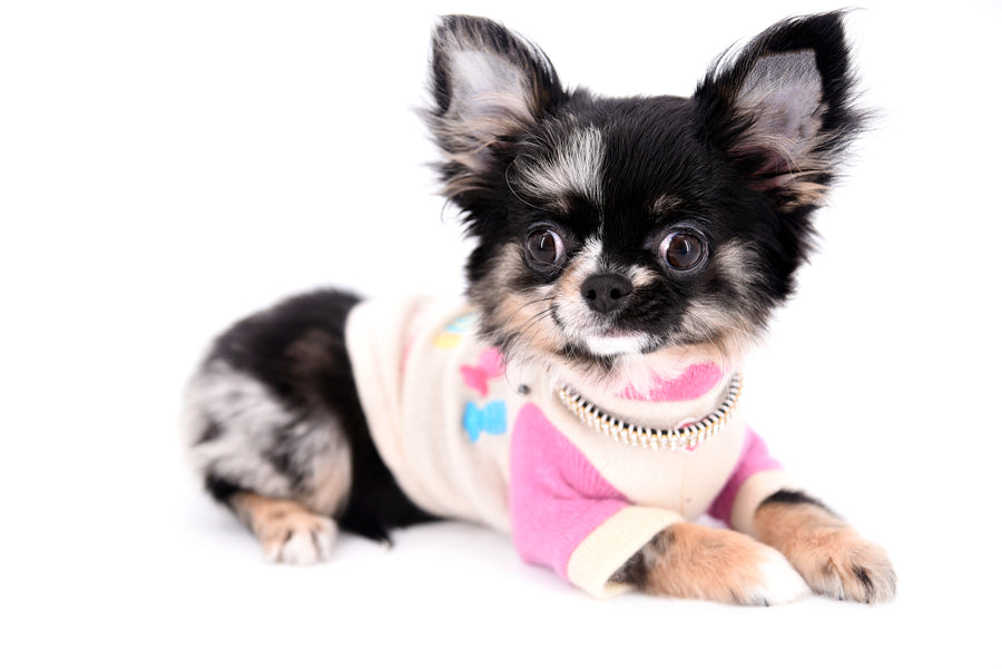 Diva Micro LC Girl