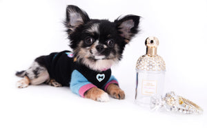 Diva Micro LC Girl