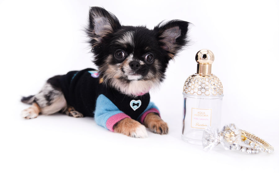 Diva Micro LC Girl