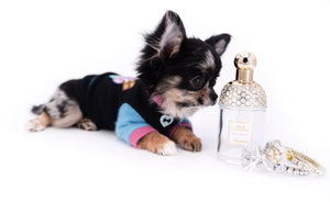 Diva Micro LC Girl