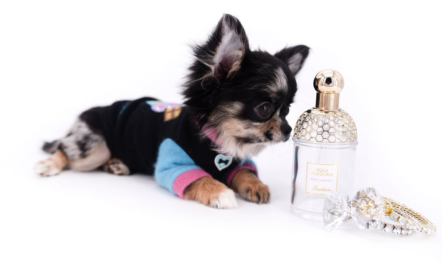 Diva Micro LC Girl