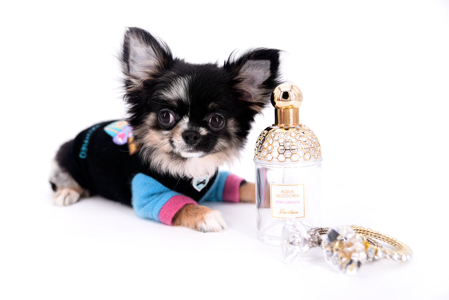 Diva Micro LC Girl