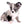Marly Blue Merle LC Teacup Boy