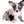 Marly Blue Merle LC Teacup Boy