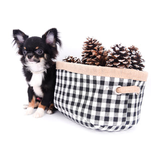 Birkin Doll  Extreme Short Muzzle Boy