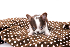 Romeo Tiny Micro Boy