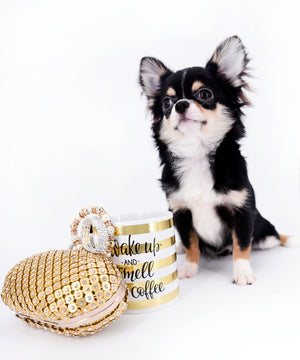 Hermes Birkin Micro LC Teacup Tricolor Boy