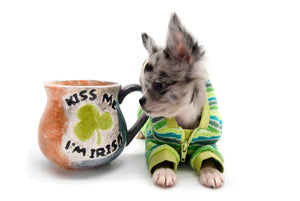 Violet Blue Merle Girl