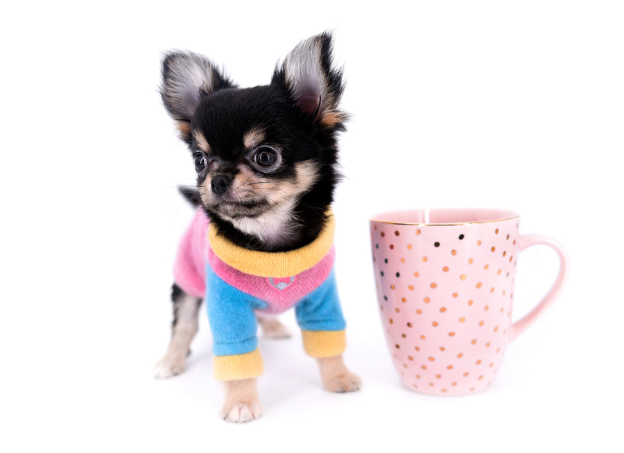 Sofia Micro Teacup Extreme Doll Face Girl