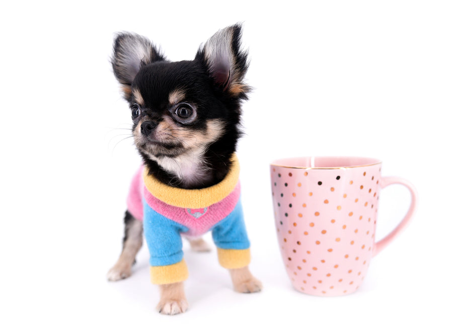 Sofia Micro Teacup Extreme Doll Face Girl