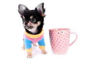 Sofia Micro Teacup Extreme Doll Face Girl