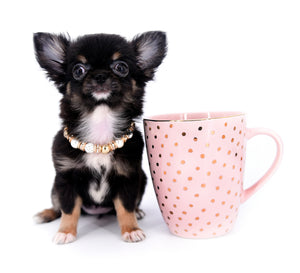 Jenna Micro Teacup Girl