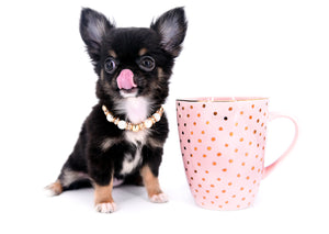 Jenna Micro Teacup Girl