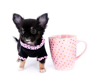 Jenna Micro Teacup Girl