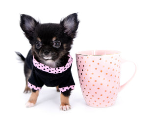 Jenna Micro Teacup Girl