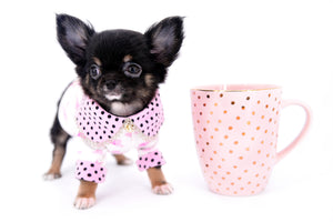 Jenna Micro Teacup Girl
