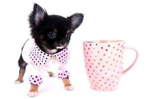 Jenna Micro Teacup Girl