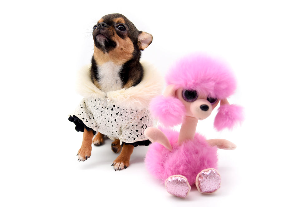 Hannah Micro Extreme Short Muzzle Girl