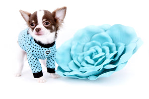 Romeo Tiny Micro Boy