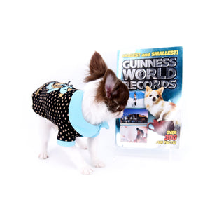 Romeo Tiny Micro Boy