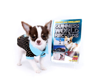 Romeo Tiny Micro Boy