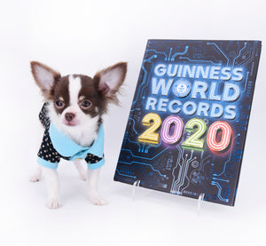 Romeo Tiny Micro Boy