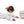 Hannah Micro Extreme Short Muzzle Girl