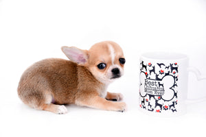 Micro Teacup Doll Face Boy
