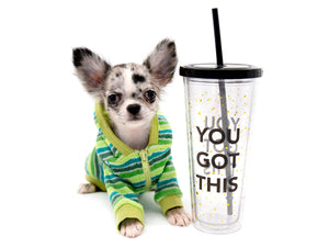 Venus Blue Merle Doll Face