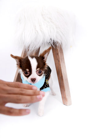 Romeo Tiny Micro Boy