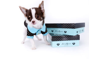 Romeo Tiny Micro Boy