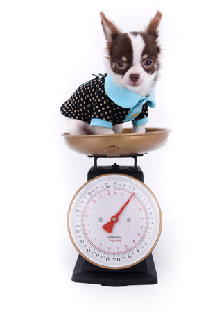 Romeo Tiny Micro Boy