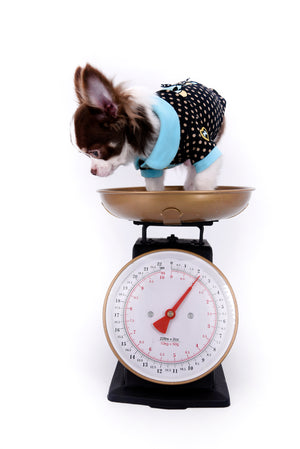 Romeo Tiny Micro Boy