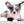 Marly Blue Merle LC Teacup Boy