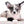 Marly Blue Merle LC Teacup Boy